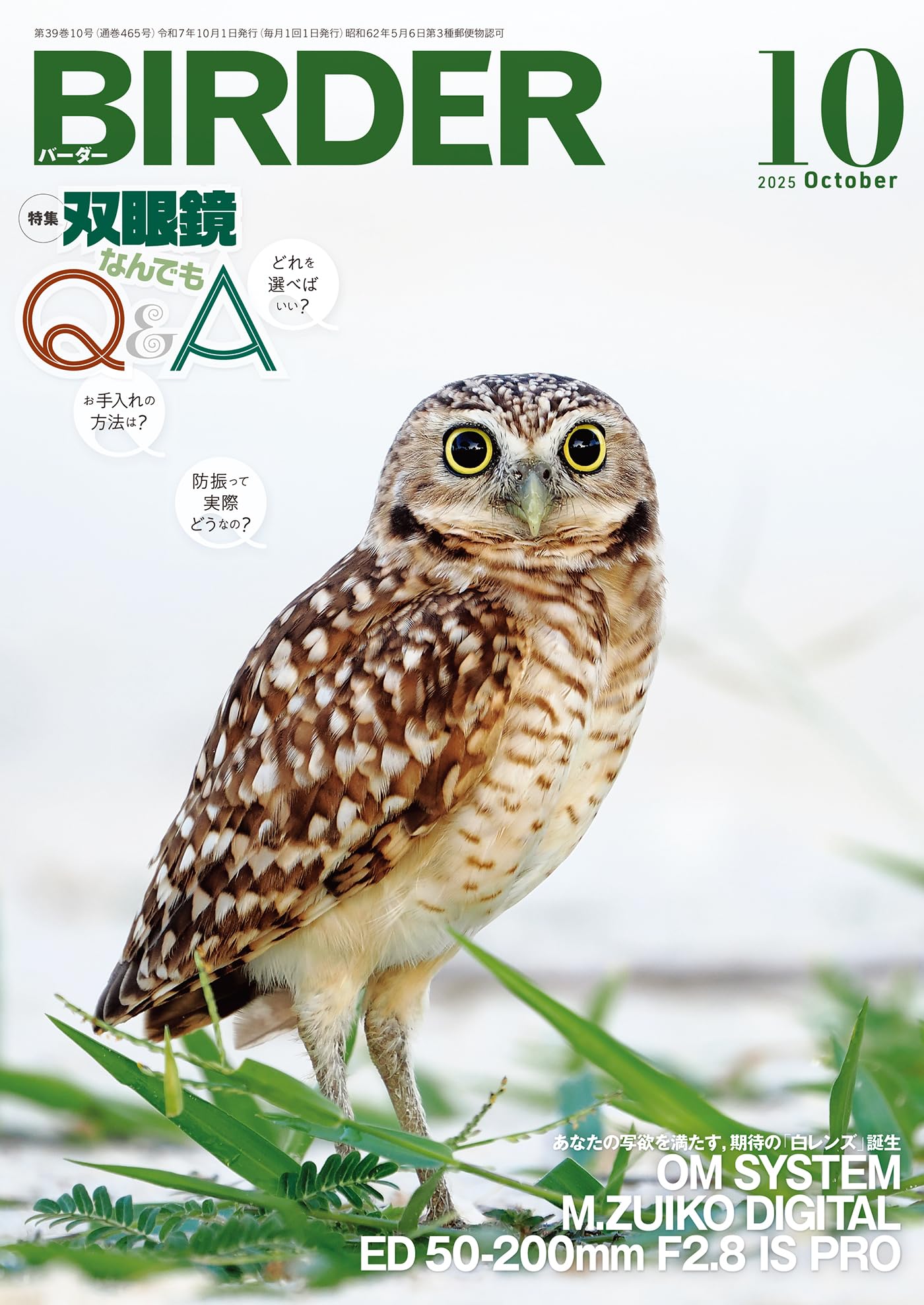Amazon.co.jp: BIRDER編集部: 本、バイオグラフィー、最新